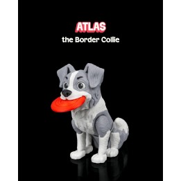 Atlas, le Colley Frontalière