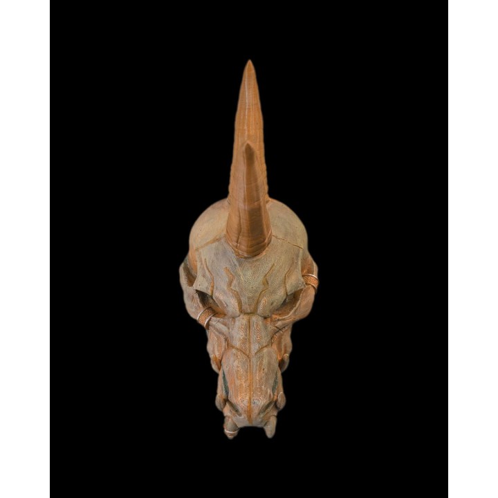 Black Dragon Skull