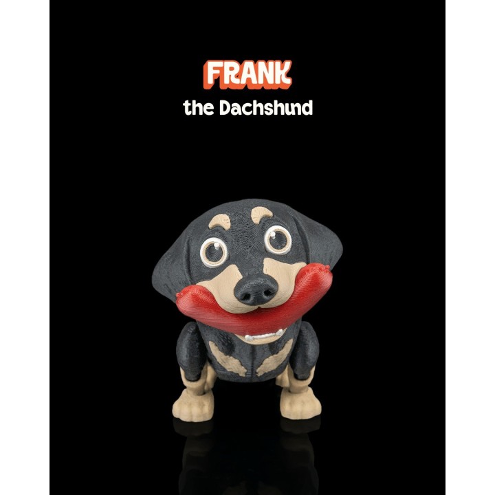 Frank, le Teckel