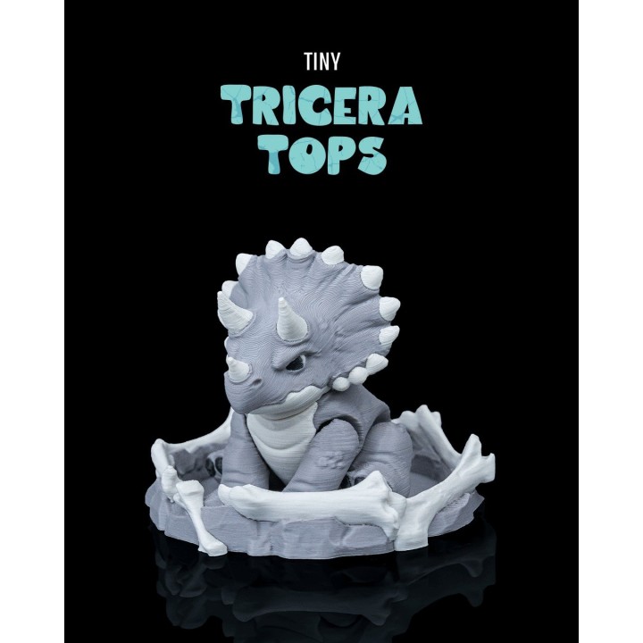 Mini Tricératops