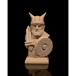 Viking Pawn