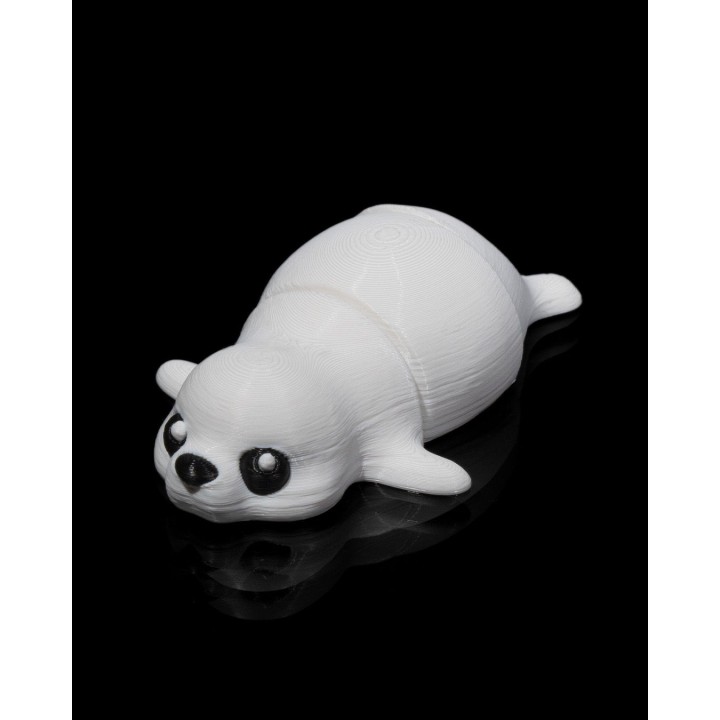 Baby Seal