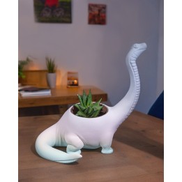 Herbivore Planter - Front