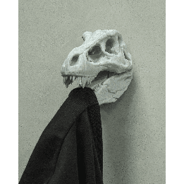 Hold my CoaT-Rex