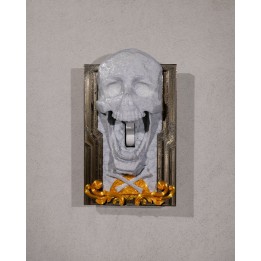 Last Wickie Light Switch Cover