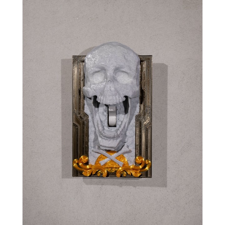 Last Wickie Light Switch Cover