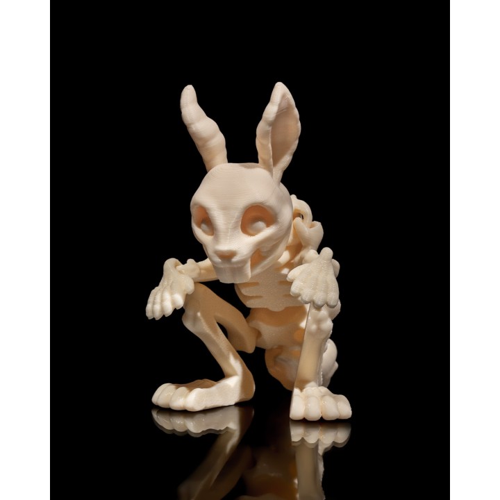 Skeleton Bunny
