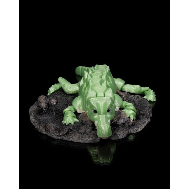 Alligator