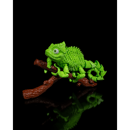 Chameleon
