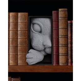 Cat’s Curiosity Book Nook