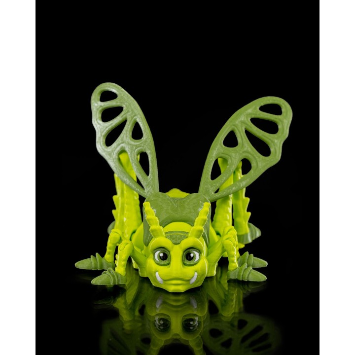 Jimmy Grasshopper