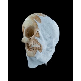 Melting Face Wall Mount