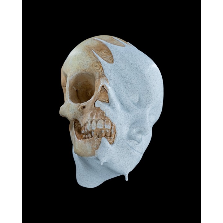 Melting Face Wall Mount
