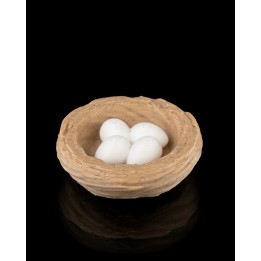 Eggs in a nest