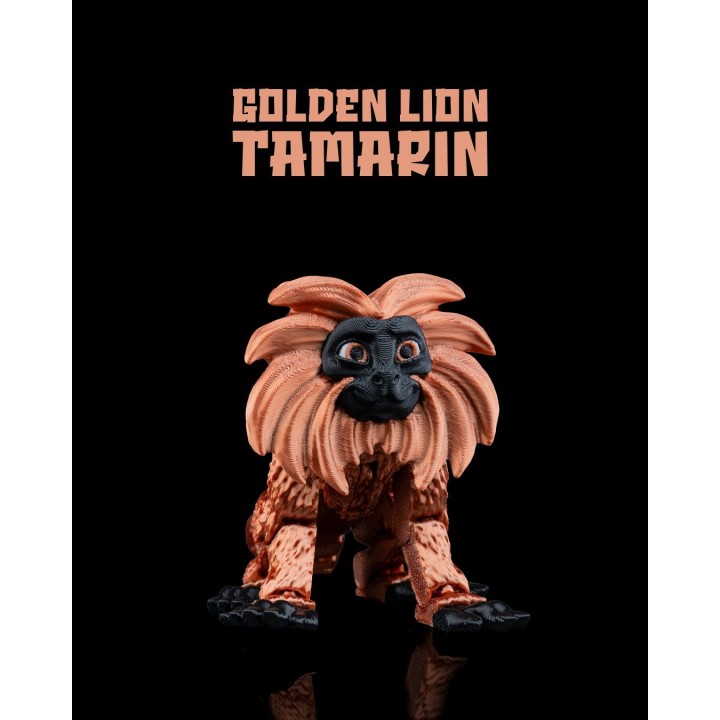 Golden Lion Tamarin