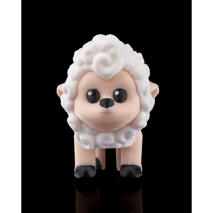 Shane, The Sheep