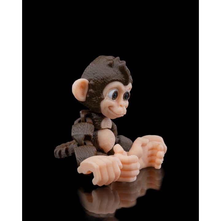 Bébé Chimpanzé