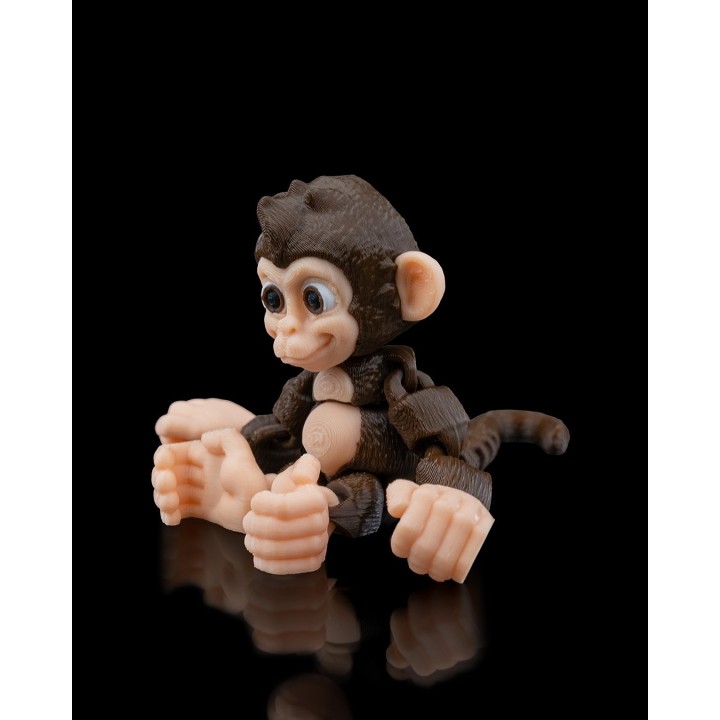 Bébé Chimpanzé