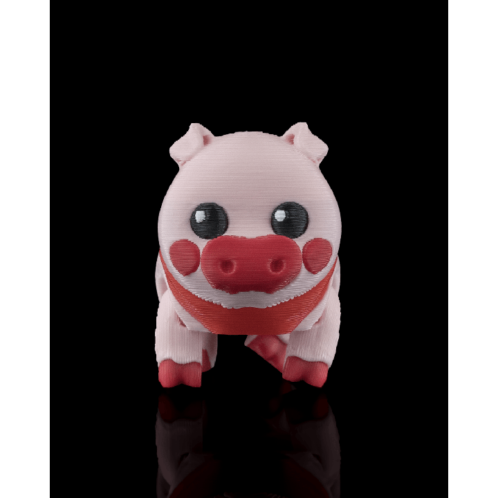 Willow, The Pig