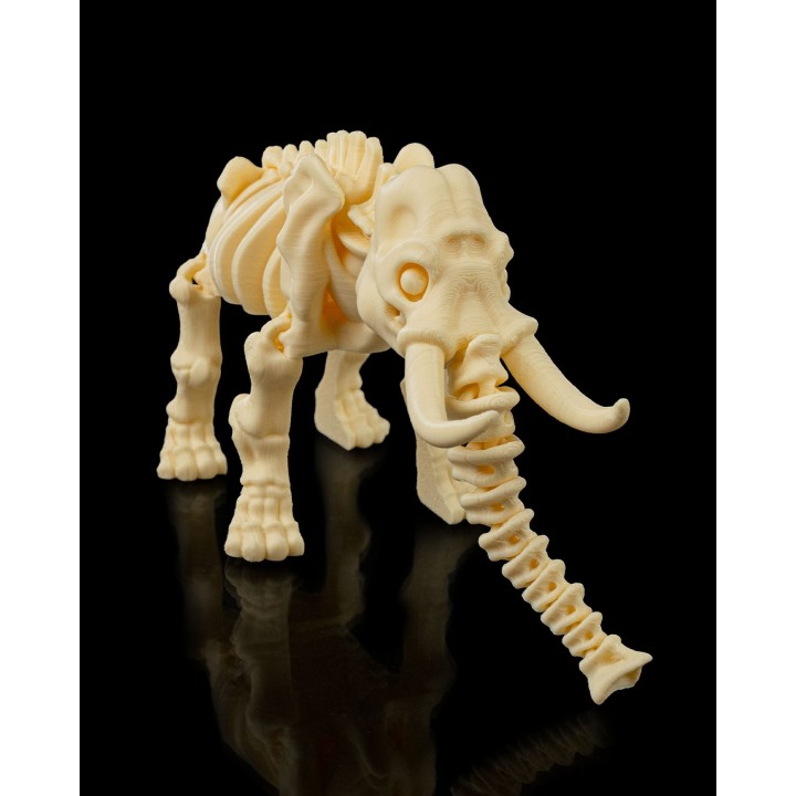 Skeleton Elephant