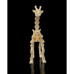 Skeleton Giraffe