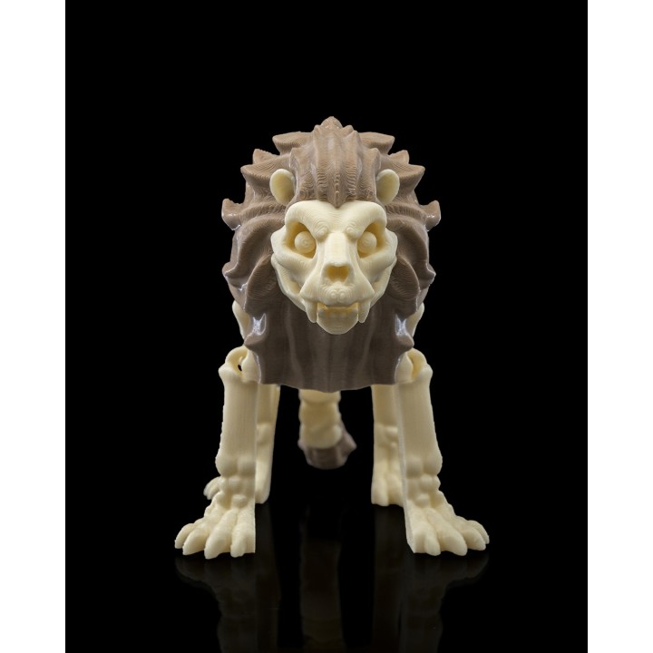 Skeleton Lion