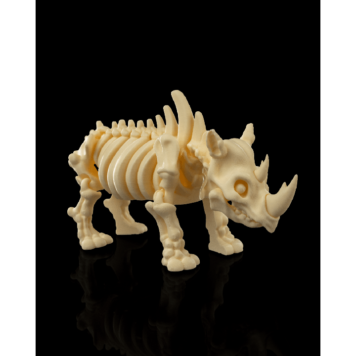 Skeleton Rhino
