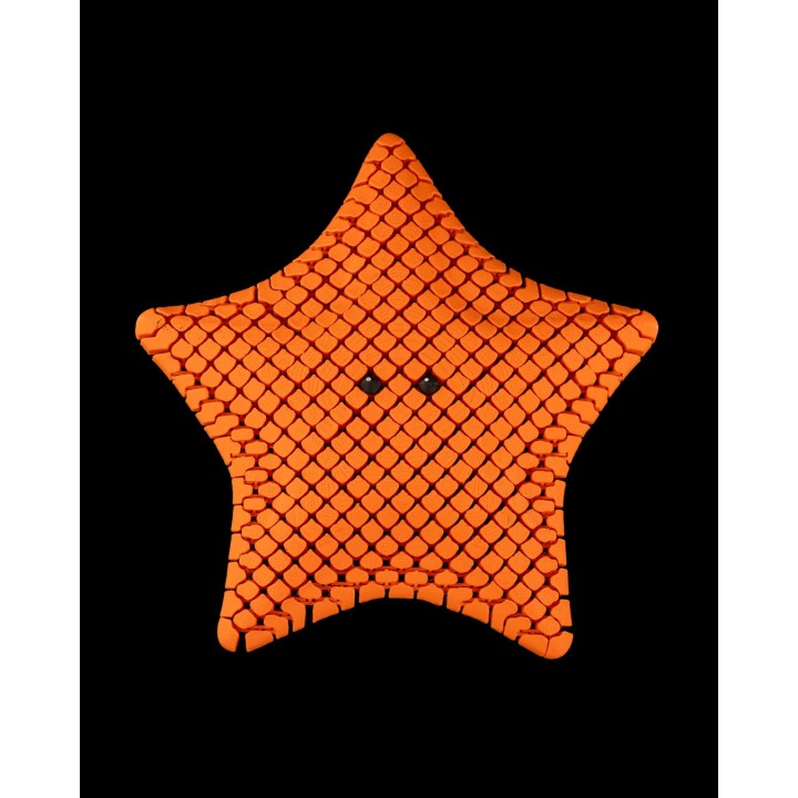 Betsie, the Bat Sea Star