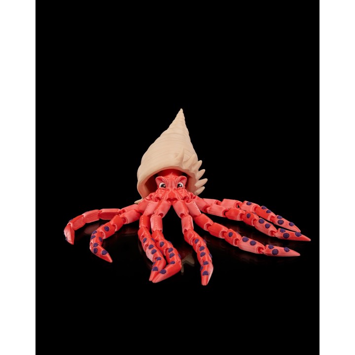 Finn, the Bigfin Squid