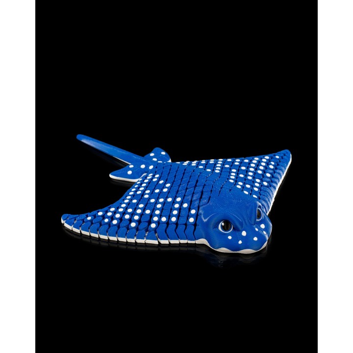Igor, the Spotted Eagle Ray