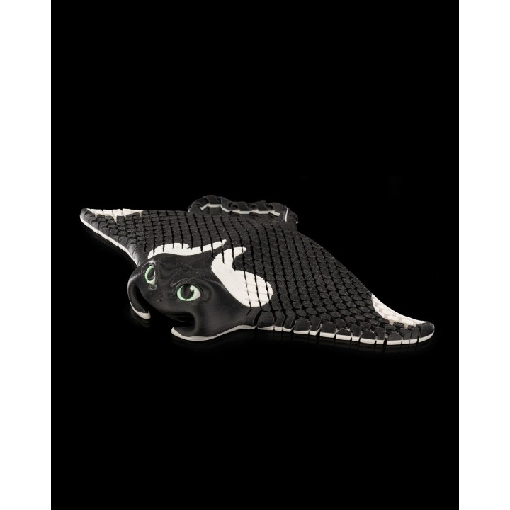 Manny, the Manta Ray