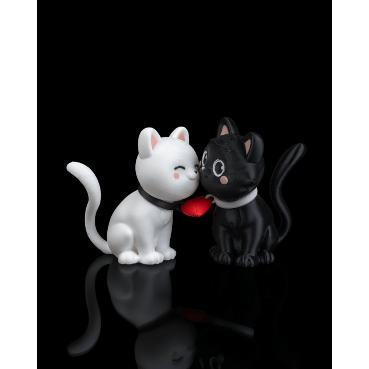 Purrfect Pair
