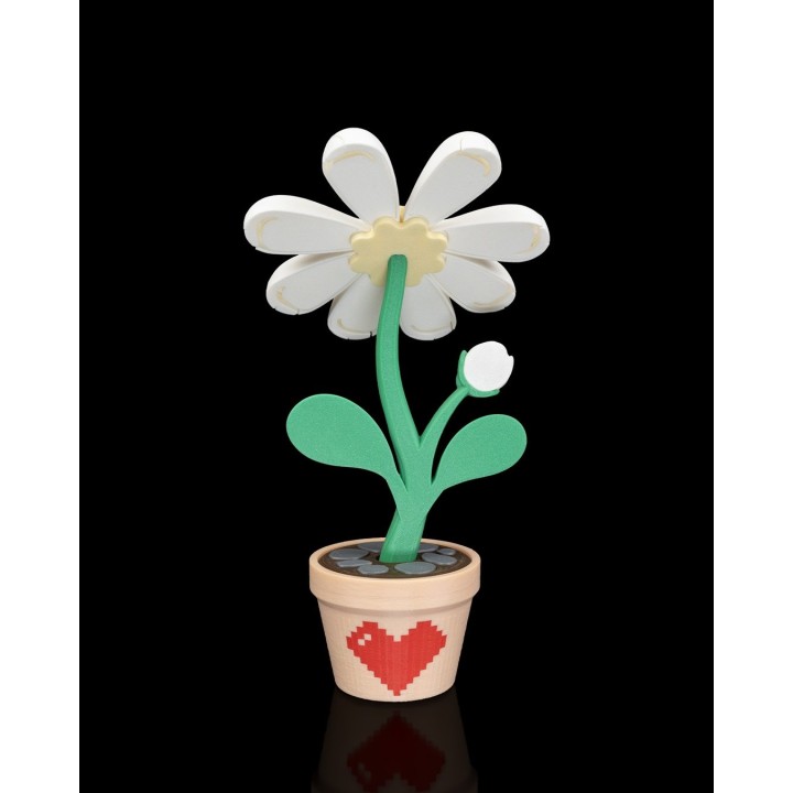Petal Whisper - Custom Boîte
