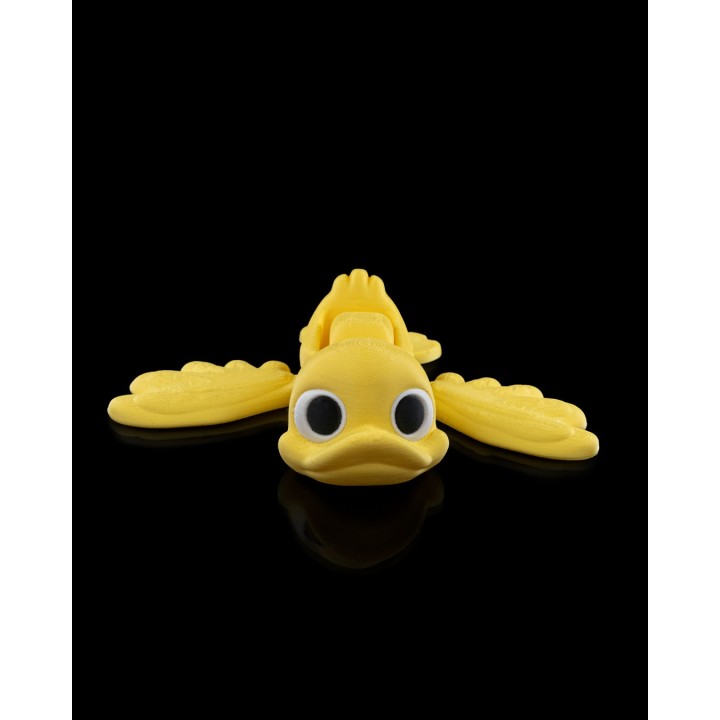 Quacker Duckling