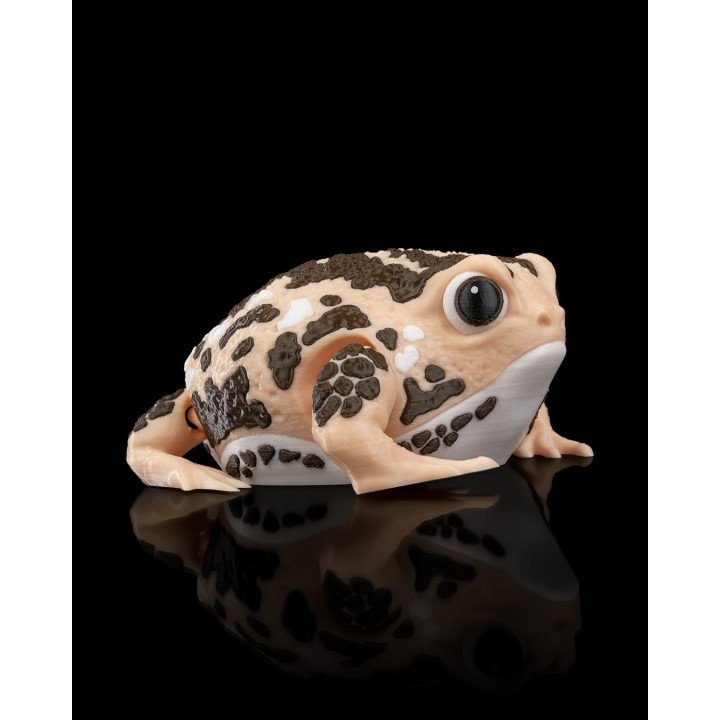 Humphrey, la Grenouille de Pluie