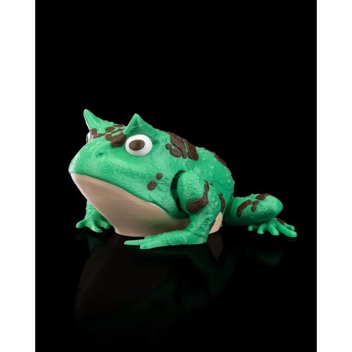 Harold, la Grenouille à Cornes