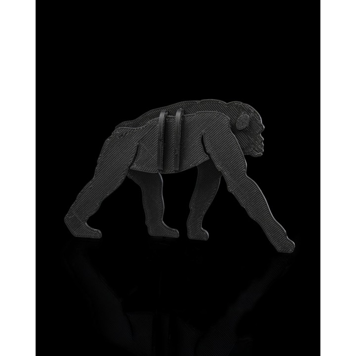 Bonobo Kit Card