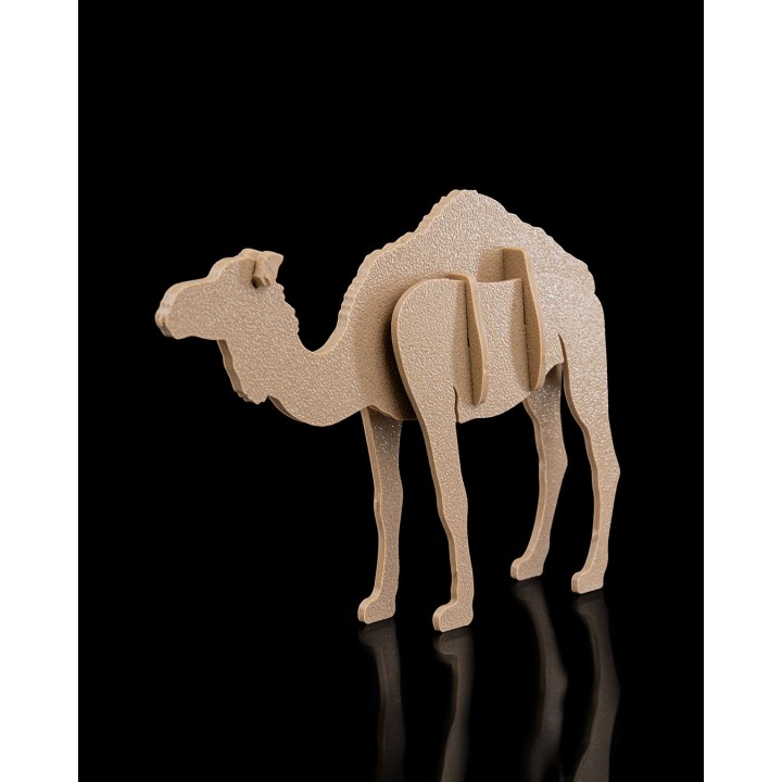 Camel Kit Card