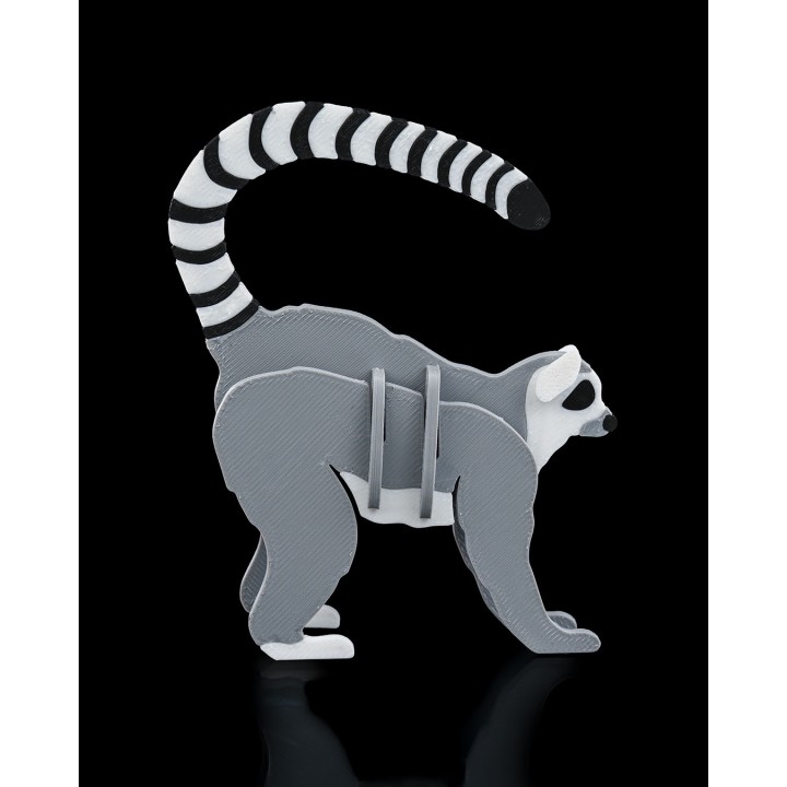 Lemur Kit Cards