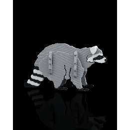 Raccoon Kit Cards