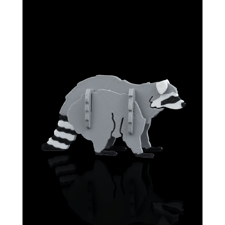 Raccoon Kit Cards