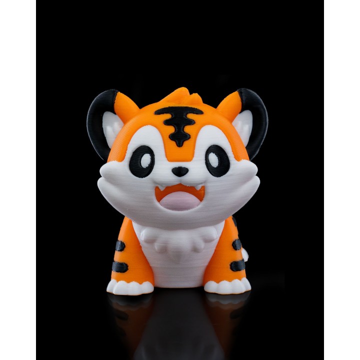 Playful Tiger