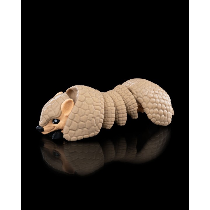 Armadillo