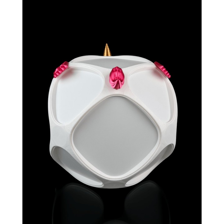 Magic Licorne Pet House