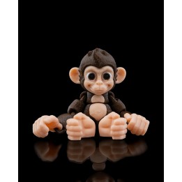 Baby Chimp