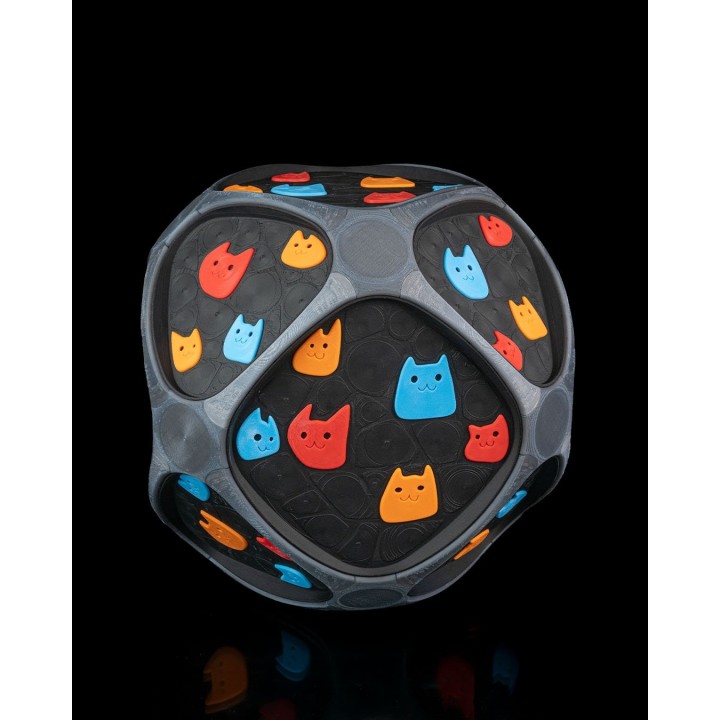 Kitty Pattern Pet House