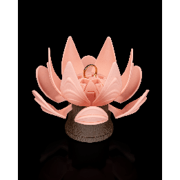 Blooming Promise - Ring Box