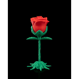 Endless Bloom