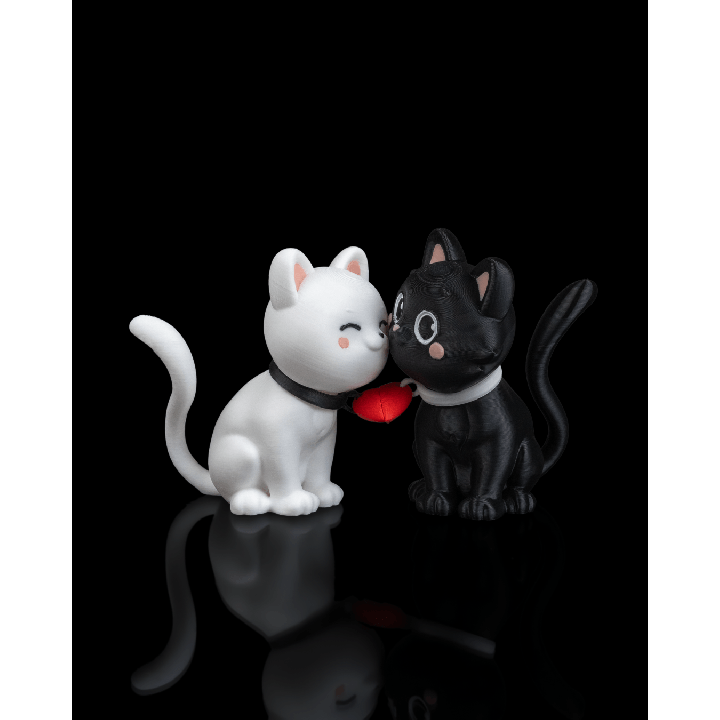 Purrfect Pair