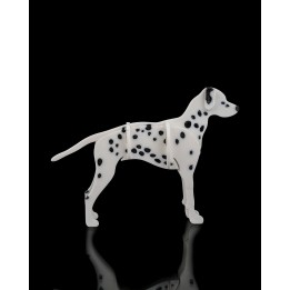 Dalmatian Kit Card